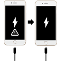 Výměna USB konektoru iPhone 6 Plus