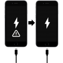 Výměna USB konektoru iPhone 7 Plus
